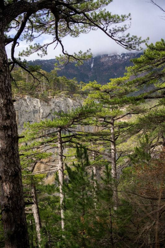 ������������ ������ ����� � ��-��� � ������ ����