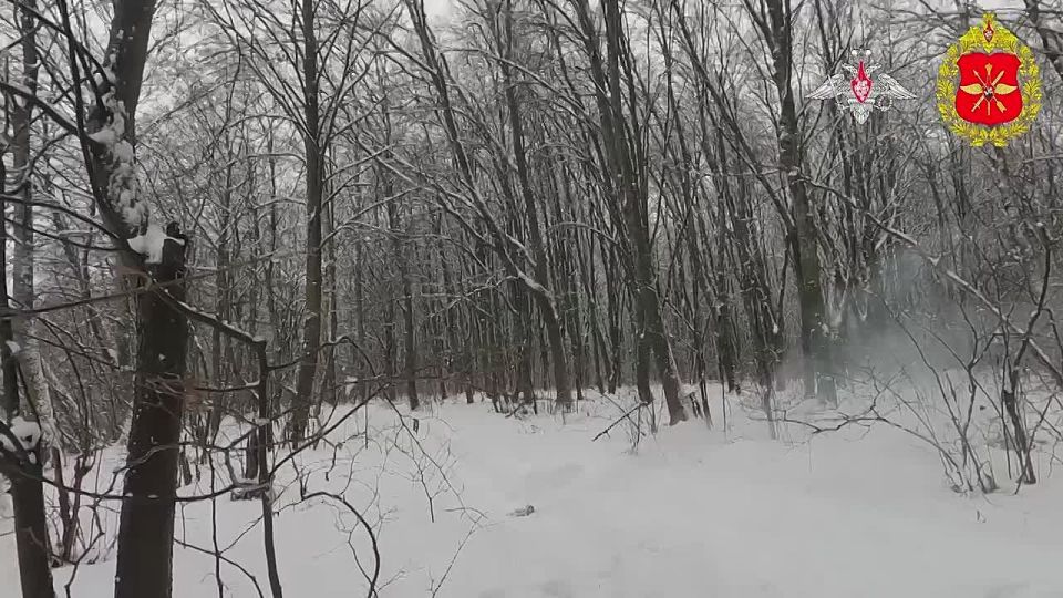 Десантники Крыма разминировали маршруты для штурмовых групп в Сумской области