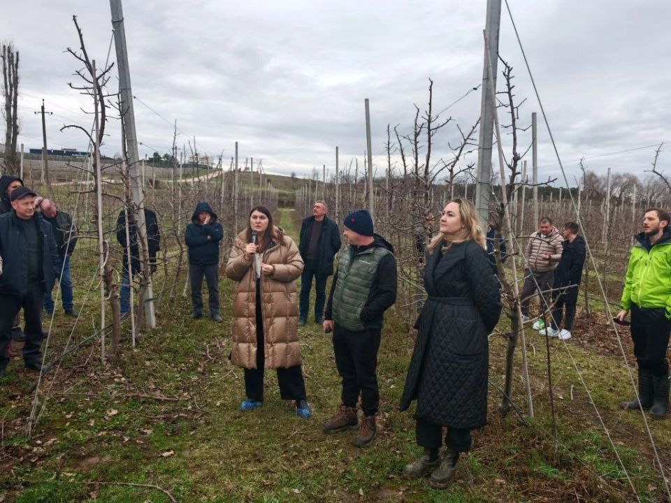 ������� 6 ������� 2026 ���� ��� ��������� ����������� ���������� ���� ���� "�������� �����" ������ ������� ������������ �������� ������� �����������