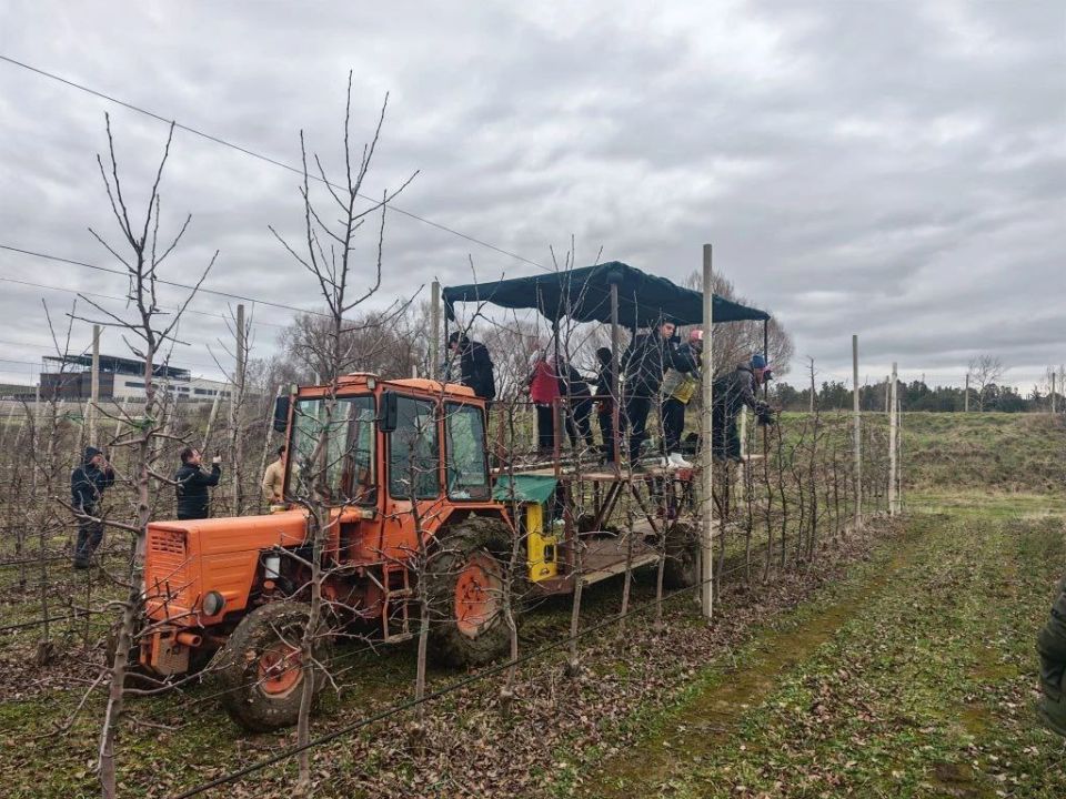 ������� 6 ������� 2026 ���� ��� ��������� ����������� ���������� ���� ���� "�������� �����" ������ ������� ������������ �������� ������� �����������