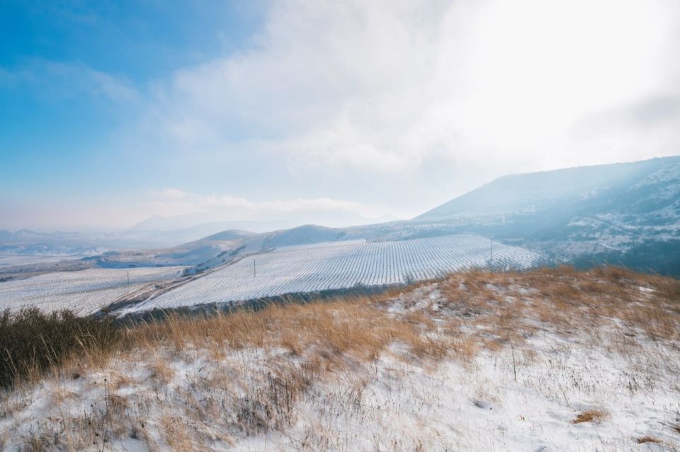 ������ ������� � ������������ ��������� � ������������