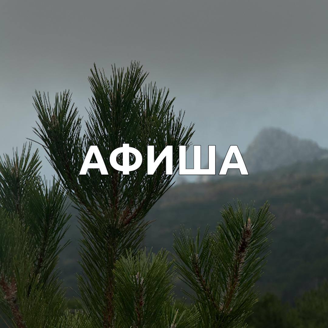 День прошёл, число сменилось и рабочая неделя — всё