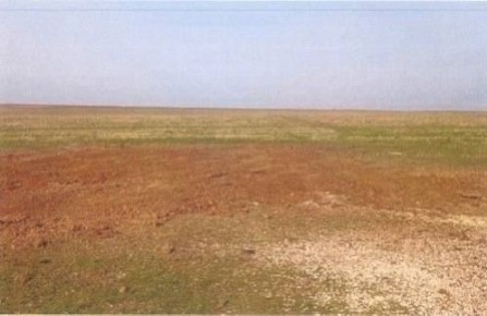 Ольга Шевцова: Работа в сфере недропользования – буквально ювелирное направление Оно требует полной вовлеченности, ответственности и постоянного самосовершенствования