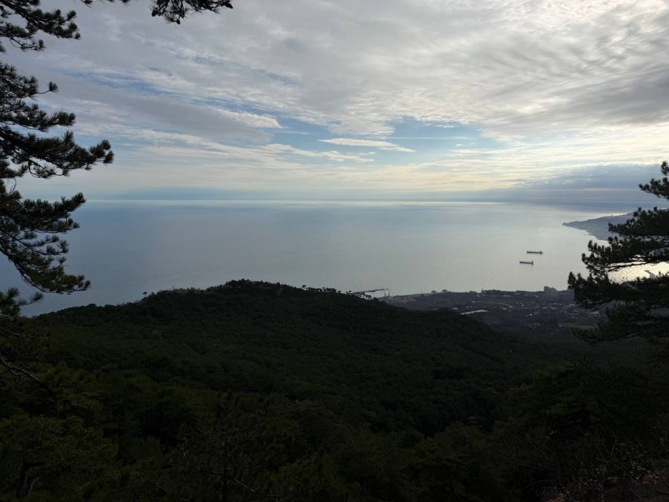 ���� ����: ��������� �������� �� ���� ��� �����