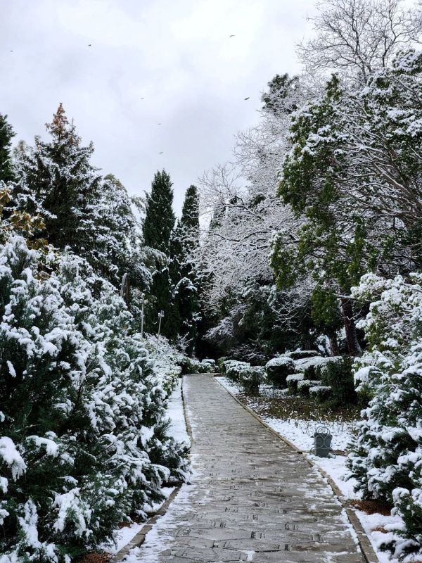 ����������� ������� �� ���