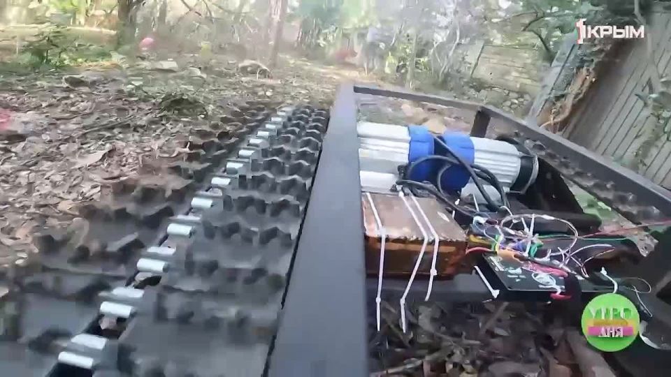 ���� ����� � ������ ������