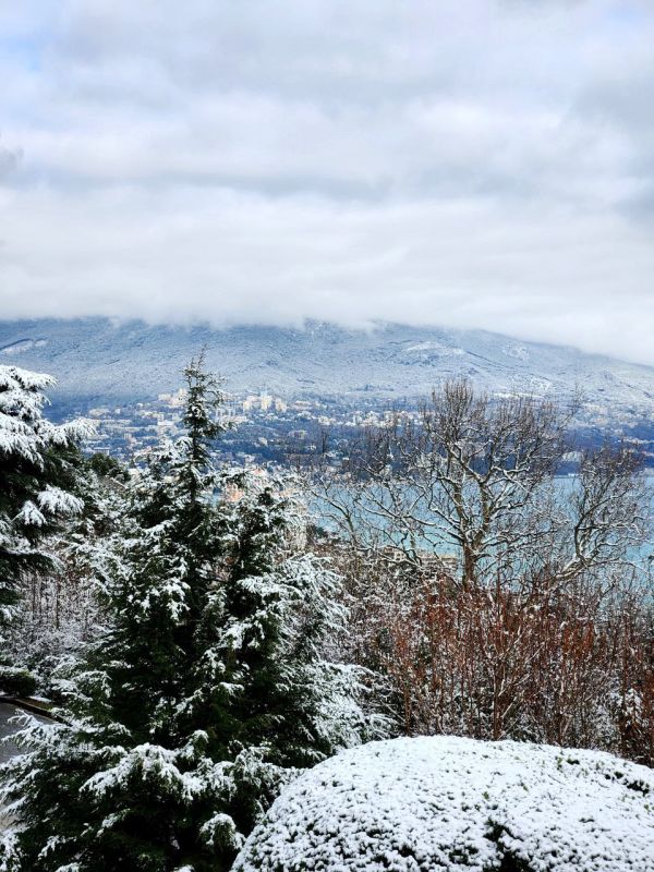 ����������� ������� �� ���