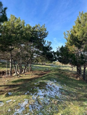 ������ �� 7 ������� :