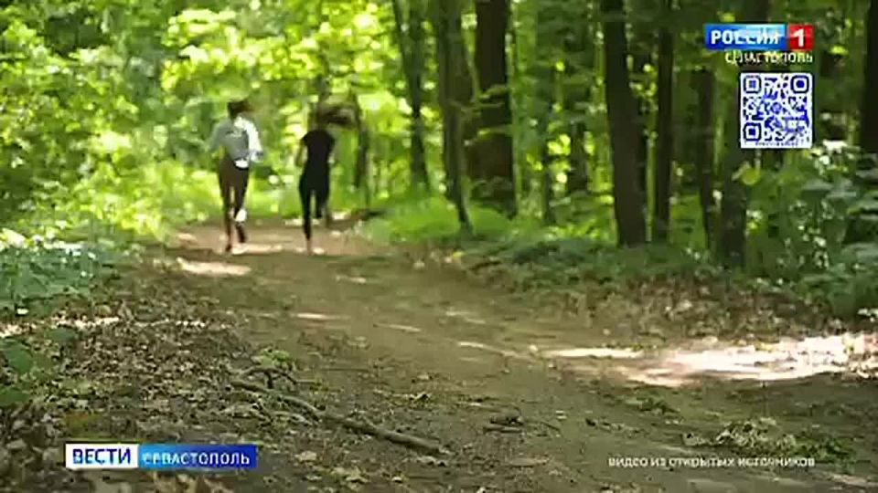 Говорят, самый популярный вид спорта – это «спор с самим собой»