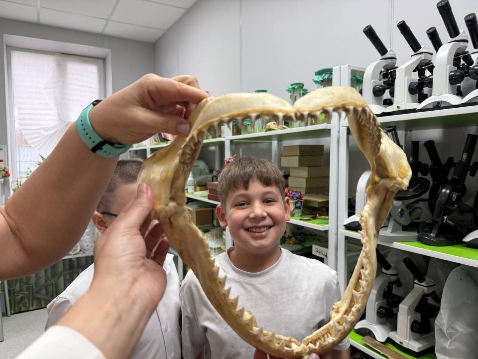 8 �������, � ���� ���������� �����, � ���� ���� � 4 ����� ������� �.�. ��������� ������ ����������� ������ ������������� ��������������� ������� ������������ �����