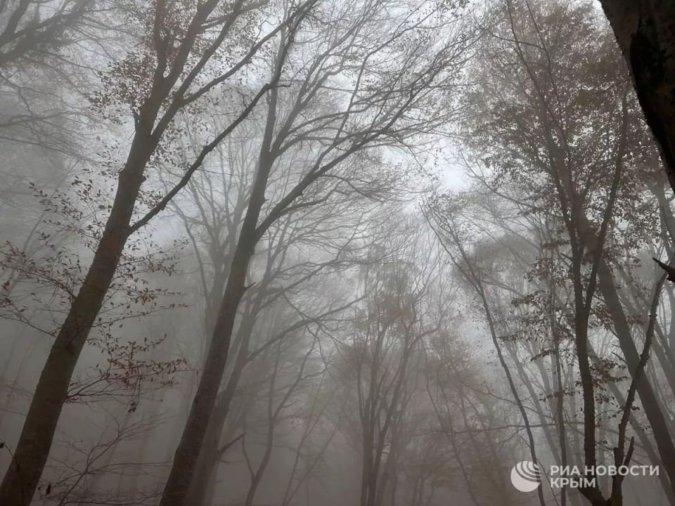 ������� ������ � ����� �� �����������