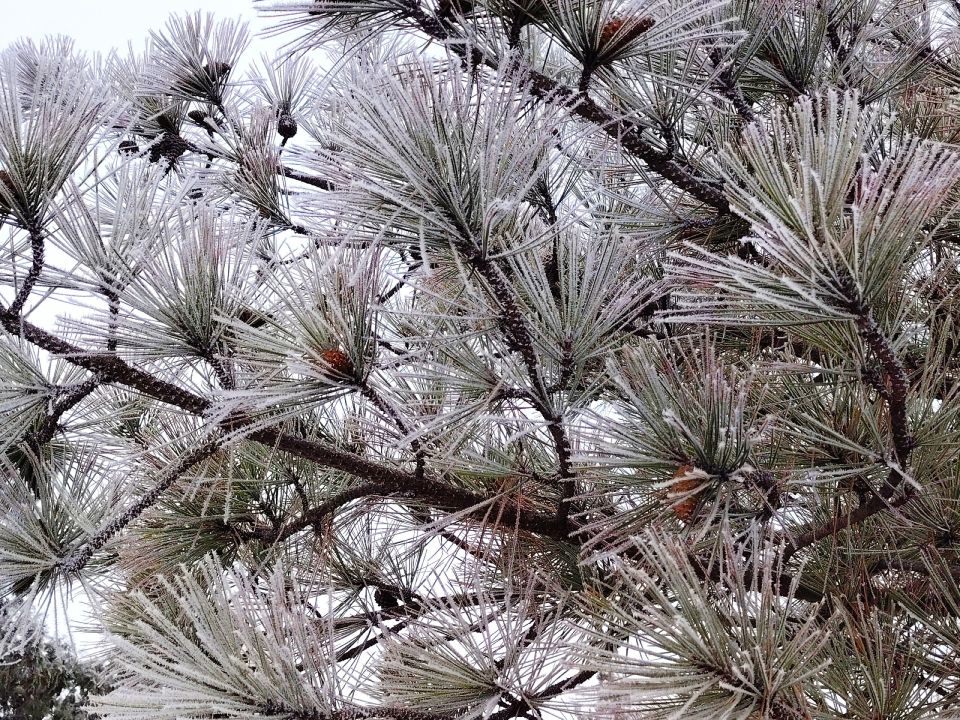 ������ ����, �������!. ����� ������� �������� ���, � ����� � ������ ���� ���������� �� ����� � ��������! ������� � �������� �������, t -3 - -5, ����� ���������, ��������