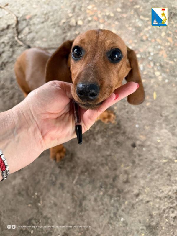 131 ������� ������� ����������� ������������ �� ��������