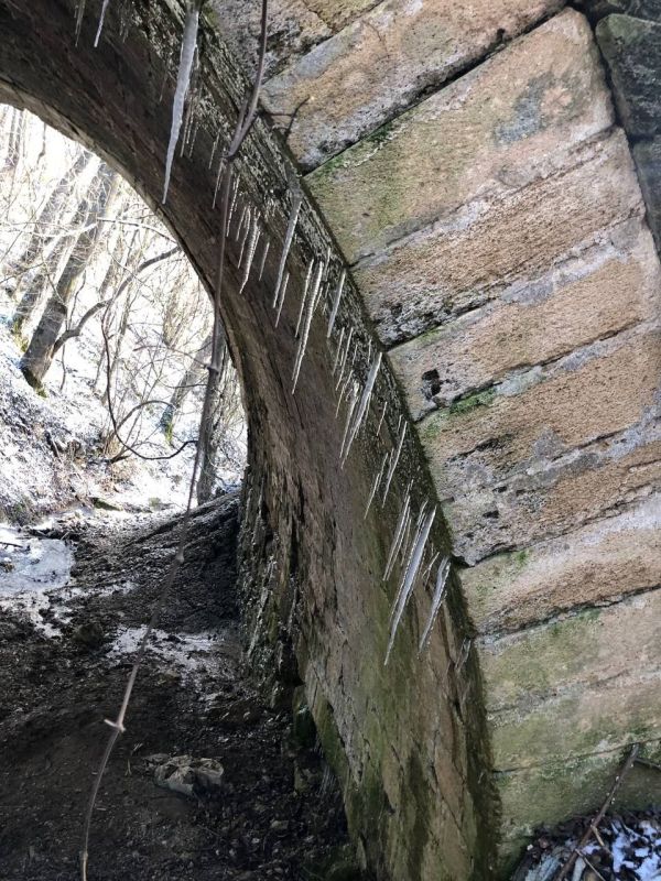 ������ ������: ������ �� �������������� �������� ����� � ���� ������� ��������� ������