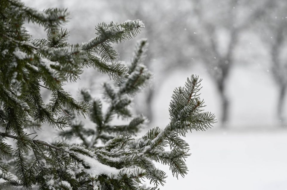 �� 11 �� +15: ���� � ����� ����� ������ ����