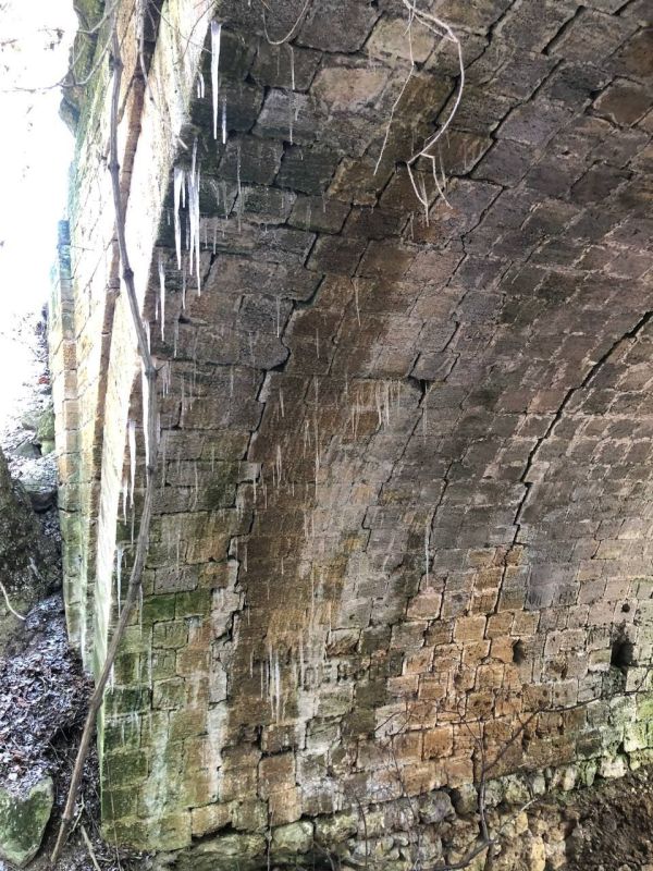 � ���� ������� ��������� ��� ������� ������ ��������������� ������� ����