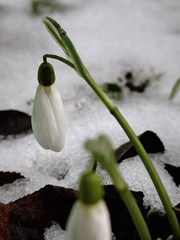 ��������� �����������: �� ����� �������� 19 ����, �����?