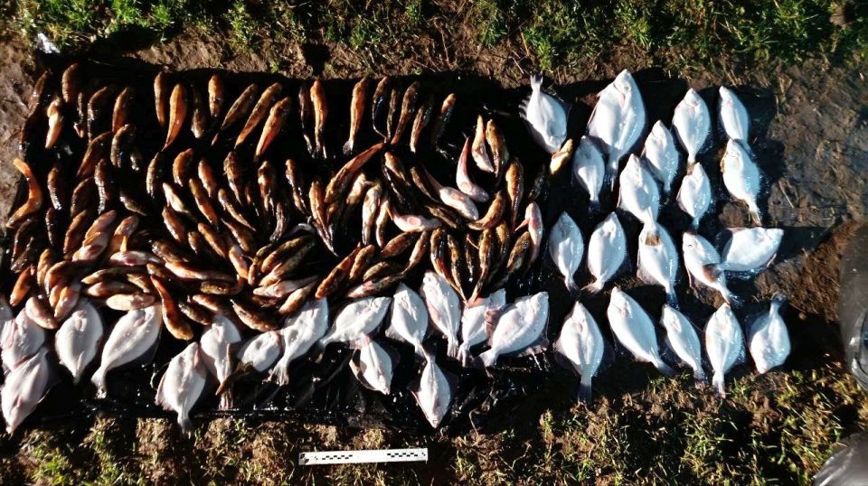 ������������ ����������� ������� ��������� ���������� � ��������� ������