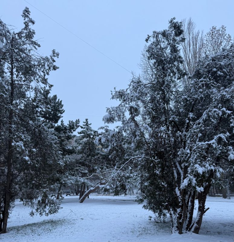 ����� ������ ��� ������� � ������ ����� 9 �������