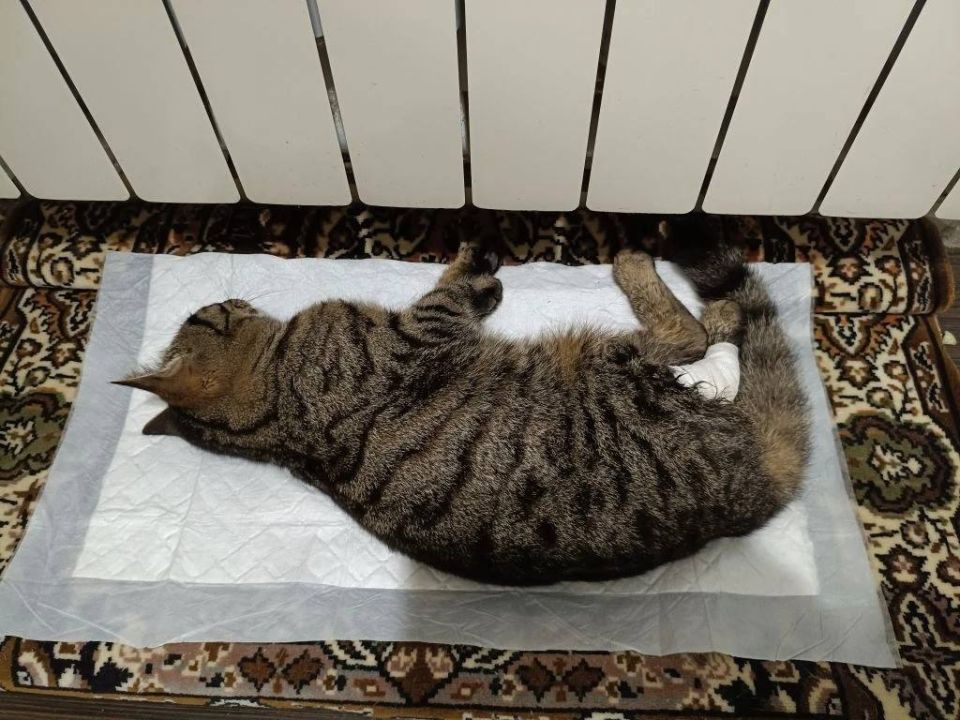 ���� � ������������ ������ ����� ������ ��������� �������������