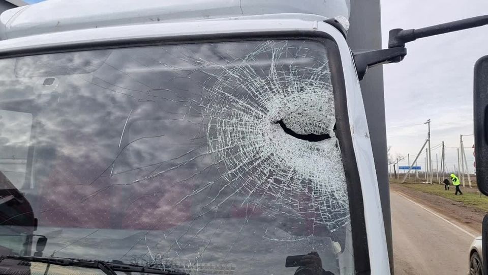 � ������ � 2 �� 8 ������� 2026 ���� �� ���������� ���������� ���� ���������������� 15 ���, � �������: