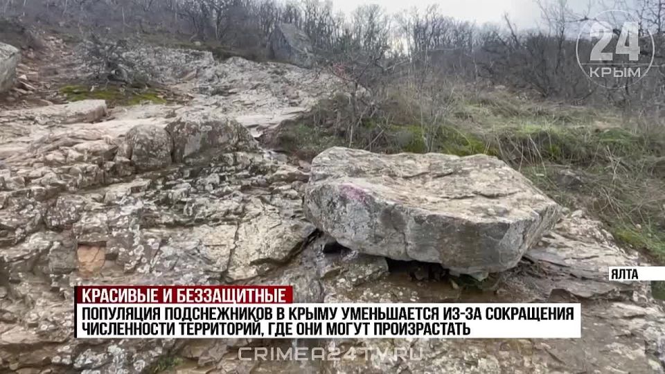 ����� �� ������: � ����� ����������� ������������ ����������