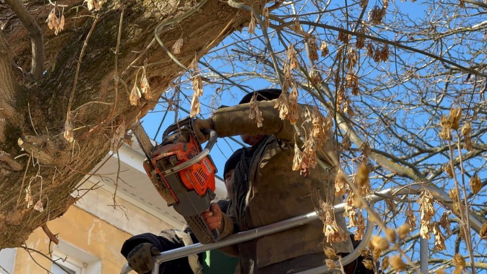 ��������� ���������� ������ ���������� ��������� ��������� ������������, ���������� ������� � ���� ��������� ��������