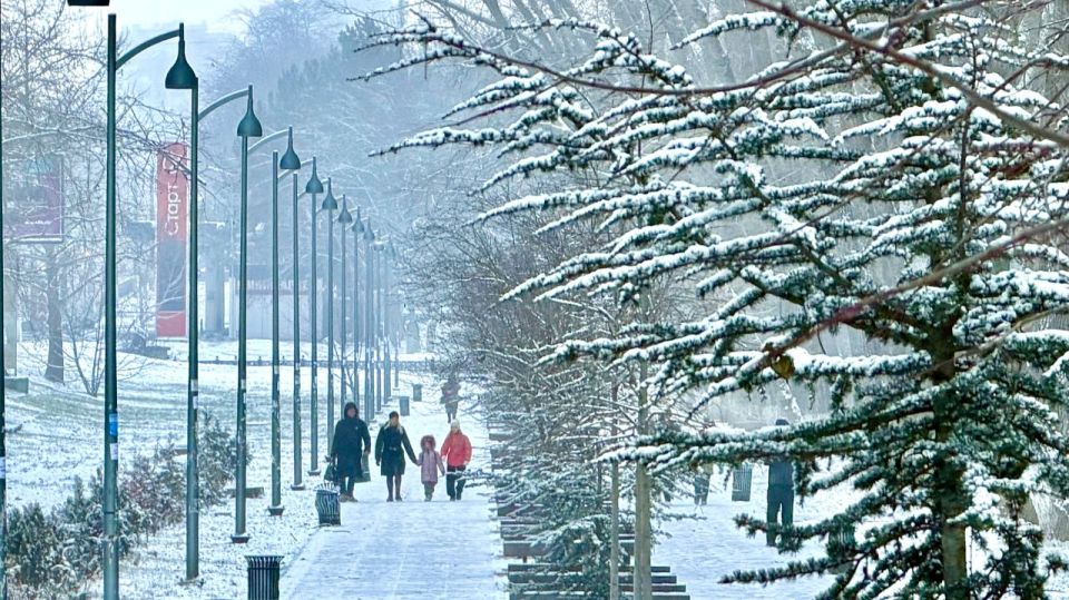 ������� ����������� ������ �����������! ���� � ������ ��������