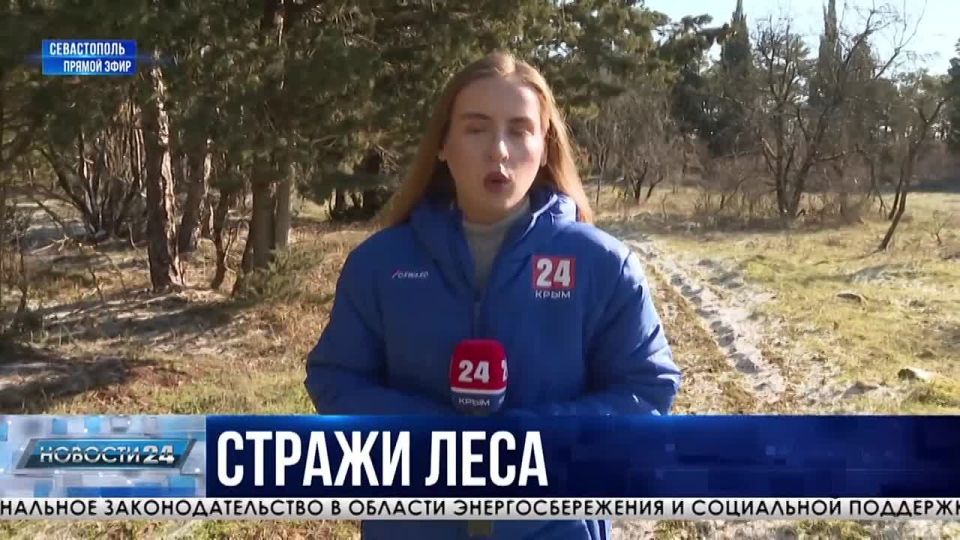 Подготовку к пожароопасному сезону начали в лесах Севастополя