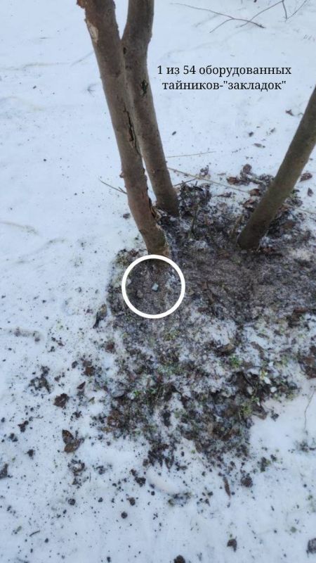 � ��������� ������� ������ ������� ������ ������������� ����������