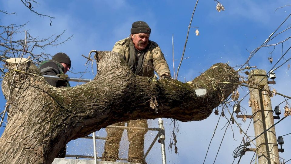 ��������� ���������� ������ ���������� ��������� ��������� ������������, ���������� ������� � ���� ��������� ��������