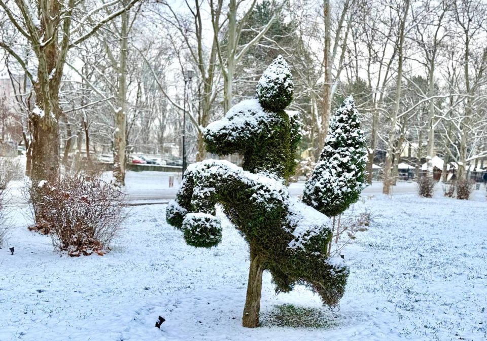 ������� ����������� ������ �����������! ���� � ������ ��������