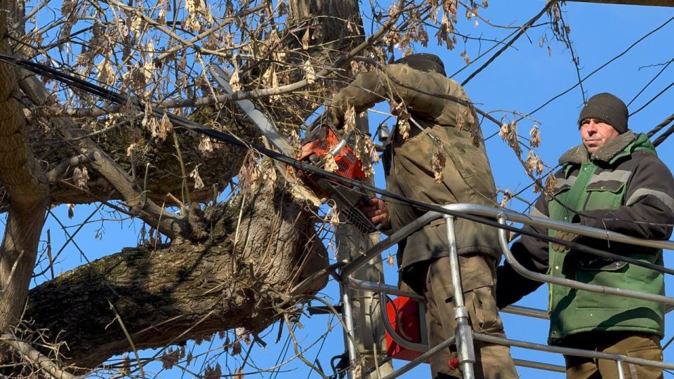 ��������� ���������� ������ ���������� ��������� ��������� ������������, ���������� ������� � ���� ��������� ��������