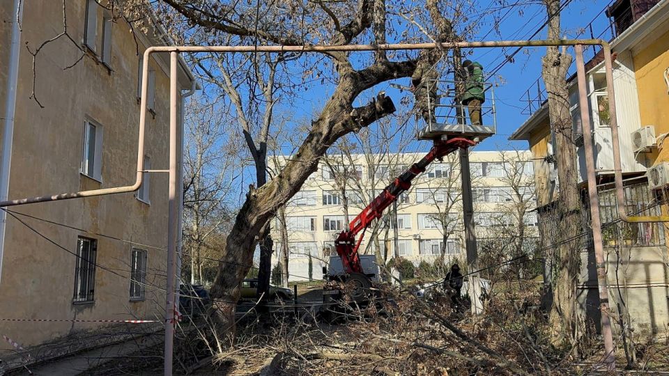 ��������� ���������� ������ ���������� ��������� ��������� ������������, ���������� ������� � ���� ��������� ��������