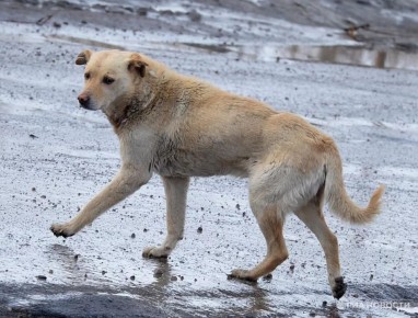 ������������ ������ � ����� �������� �� ������� ������� � ��������� ������� ��������� ��������� ����