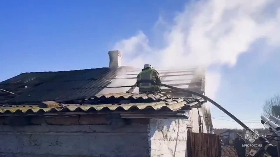 ������� ��� �� 20 "���������" �������� � ����������� ������