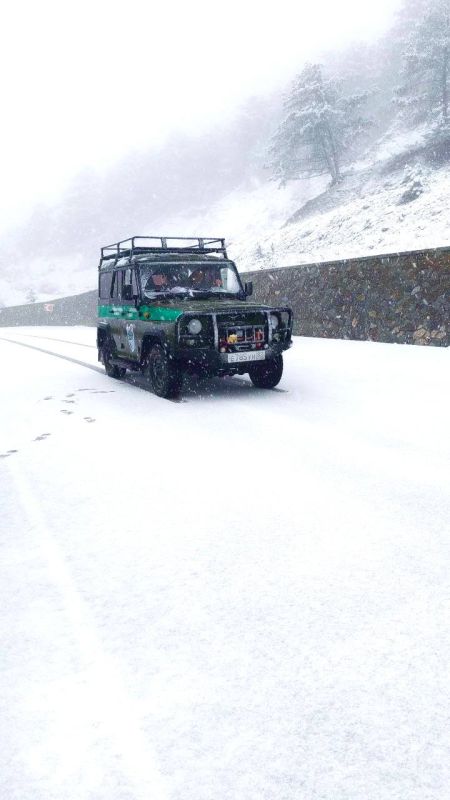 ������ � ���� ����������� �����