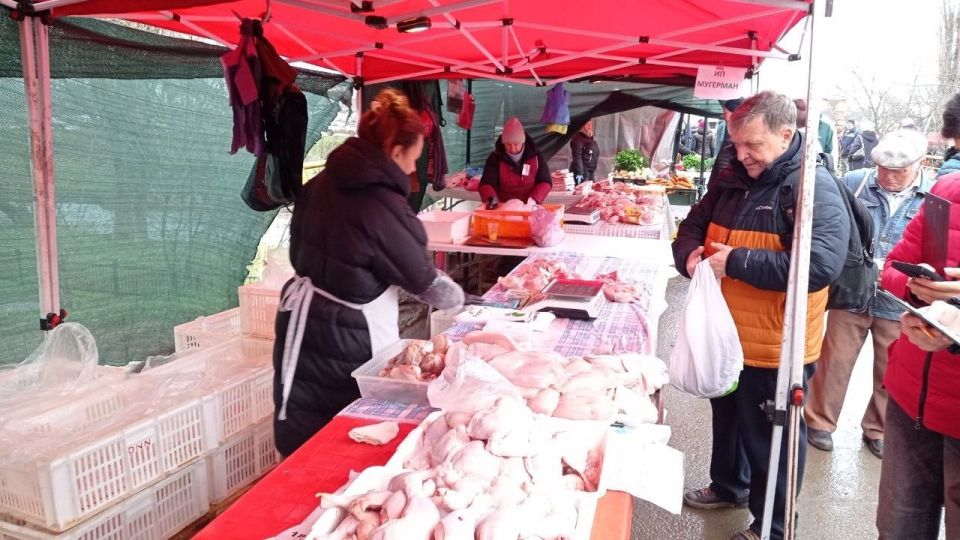 �� �������� �������� ���������� ����� 40 �� ���� ��� ����������