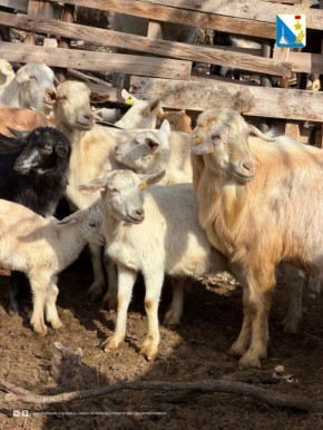 � ����������� ���������� ������ �������� ����������� ���������� � ���������� ������� �������� �����