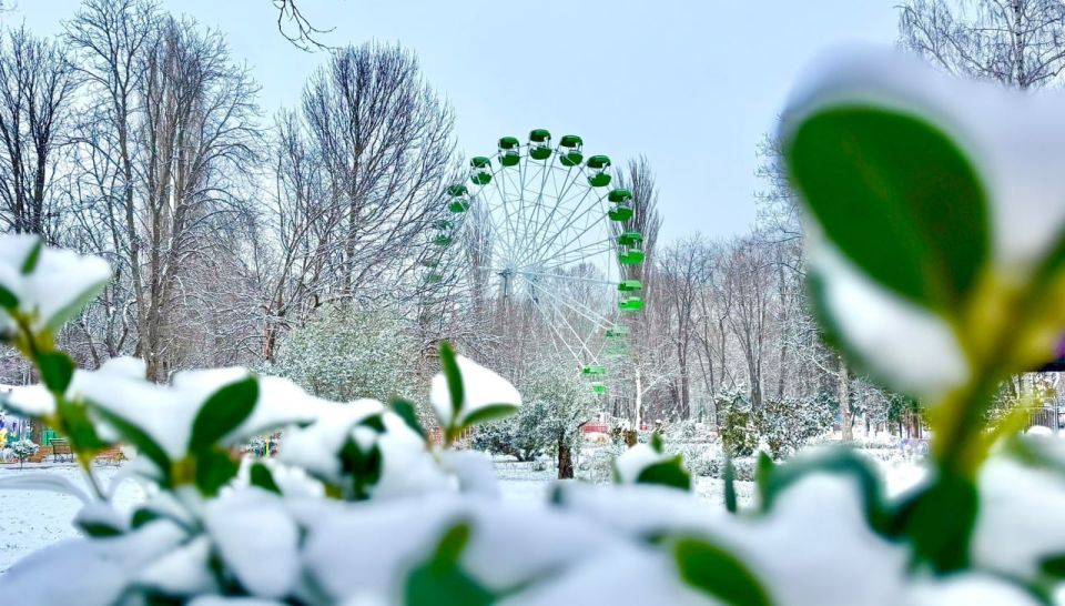 ������ ����!. #�����������