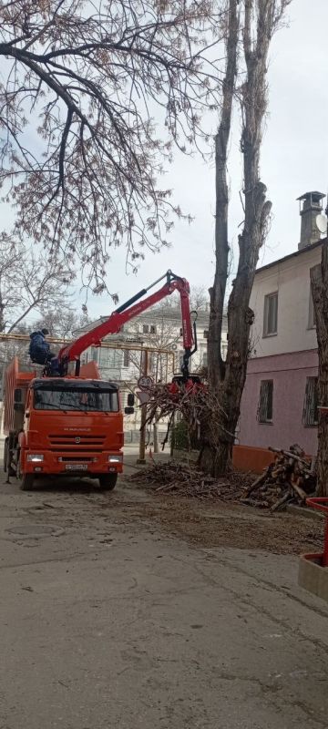 � �������� ������������ ������ �� ���������� ������������ ����������