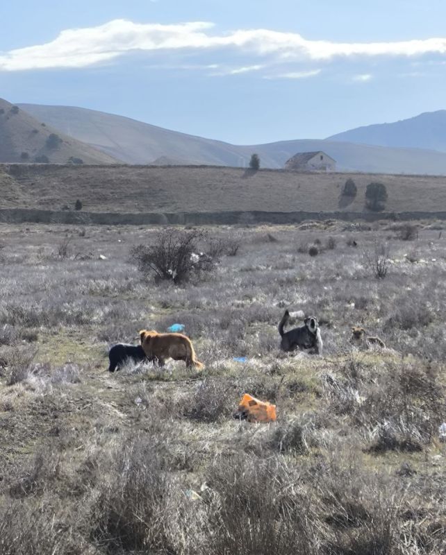 ������� �������������� �������� ������������� ������ �������� ���������� ���������� ������ ���������� � ��������������� �� ���������� ��� ��������� � ������������� ������ �����