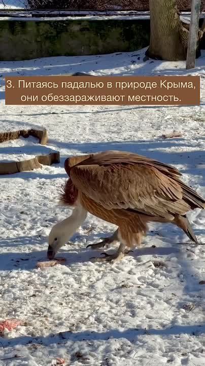 ����� ������� �����: 5 ������������ ������ � ����������� �����