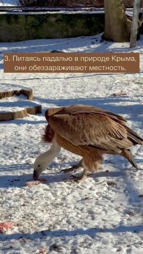 ����� ������� �����: 5 ������������ ������ � ����������� �����