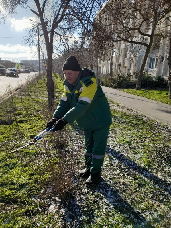 � �������� ������������ ������ �� ���������� ������������ ����������