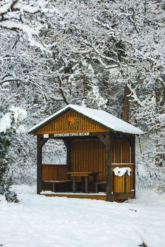 ������ � ���� ����������� �����