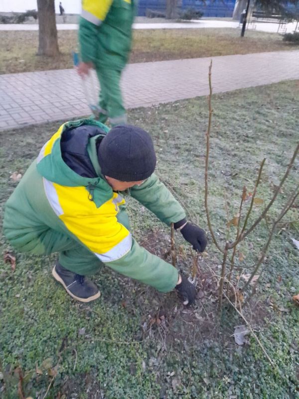 � �������� ������������ ������ �� ���������� ������������ ����������