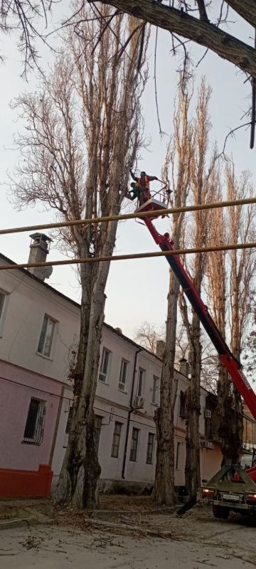 � �������� ������������ ������ �� ���������� ������������ ����������