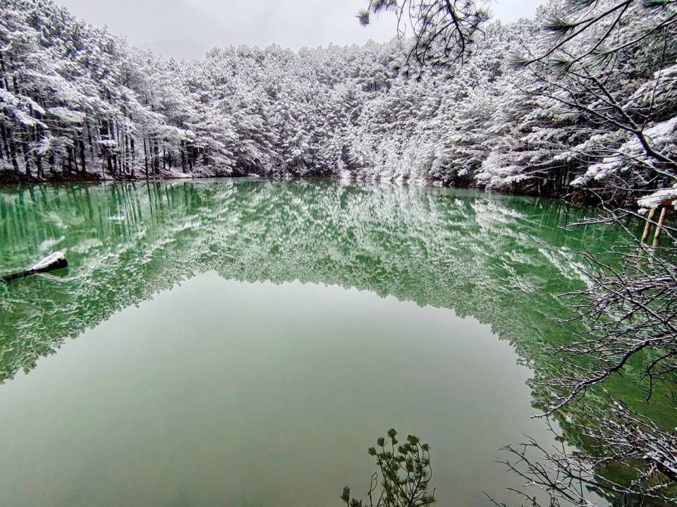 ������ � ���� ����������� �����