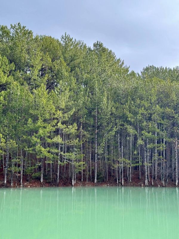 Любовь к делу чувствуется сразу